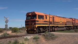 Eyre Peninsula Narrow Gauge Whyalla Ore [upl. by Airoled]