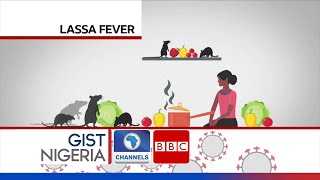 NCDC  Lassa fever death rises to 127 [upl. by Grail782]