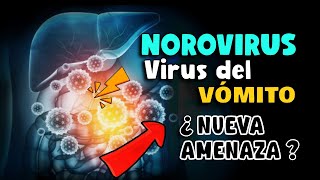 ¡CUIDADO EXPERTOS ALERTAN AVANCE DE OTRO VIRUS A CONSIDERAR NOROVIRUS quotVIRUS DEL VÓMITOquot [upl. by Annohsed638]