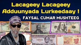 Lacageey  Faysal Cumar Mushteeg  Faysal cumar mushteeg dhugmaal  faysal cumar mushteeg lacage [upl. by Aimar]