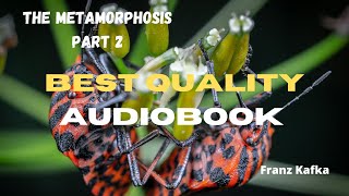 The Metamorphosis Audiobook  Franz Kafka  Part 2 [upl. by Anibla560]