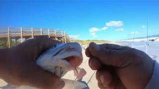 Playalinda Beach Florida East Coast Surf Fishing [upl. by Eadwine]