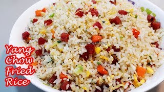 THE EASIEST BUDGET FRIENDLY YANG CHOW FRIED RICE  BETTER THAN TAKE OUT [upl. by Georgina]