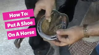 How to put a shoe on your horse by Alex Gutierrez  Dressage Hub [upl. by Ardnekan]