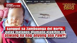 Sanggol patay matapos diumano atakihin ng aswang na naganyong aso raw  Kapuso Mo Jessica Soho [upl. by Kannry]