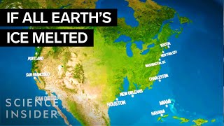 How Earth Would Look If All The Ice Melted  Science Insider [upl. by Esinad]