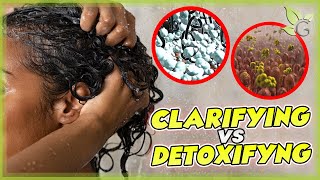 Clarifying or Detoxifying your hair What’s the difference [upl. by Chaim759]