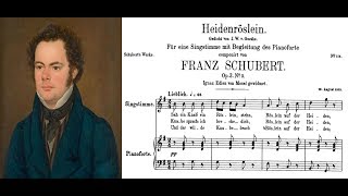 Franz Schubert  Heidenröslein Sheet music and lyrics [upl. by Assiral15]