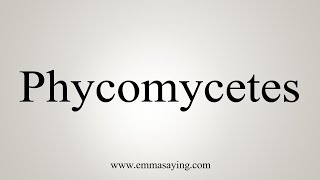 How To Say Phycomycetes [upl. by Maible668]