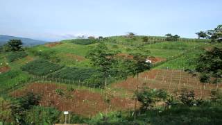 Conservation Agriculture in the Philippines [upl. by Franzen]