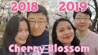 Festival Cherry Blossom Korea 2019 🌸💑🌸 Korea Indonesia Couple [upl. by Reivilo478]