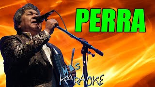 PERRA 💚 Los Palmeras  KARAOKE maskaraoke cumbia [upl. by Nivlag]