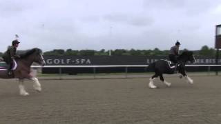 Lingfield Racecourse  Shires vs Clydesdales preview  Horse amp Hound [upl. by Essyla]