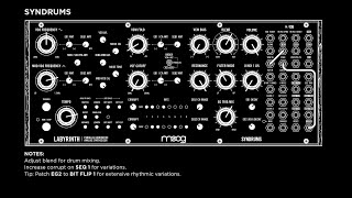 Syndrums by Moog Labyrinth [upl. by Gianna848]