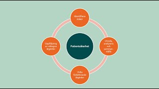 Egenkontroll ur ett systematiskt patientsäkerhetsperspektiv [upl. by Conlan276]