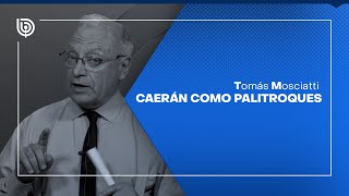 Comentario de Tomás Mosciatti Caerán como palitroques [upl. by Okechuku]