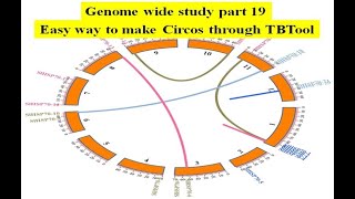 Genome wide study Part 19  Circos  Easy way to make Circos  Circos through TBTool  Circa [upl. by Yasmine]