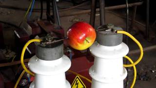 Der Elektroapfel  Electric Apple  20000Volts [upl. by Leahcimauhsoj120]