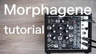 Make Noise Morphagene  Tutorial video  解説動画 [upl. by Lunseth]