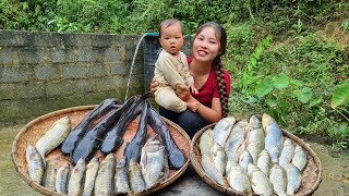 Harvesting fish marinating fish preserving fish all year round  cooking with children [upl. by Novyaj]