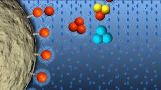 Hydrophobic Interaction Chromatography GFP Purification part 4 of 6 [upl. by Nwaf865]