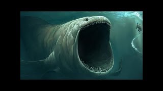 Prehistoric Sharks More Deadly Than The Megalodon [upl. by Inej285]