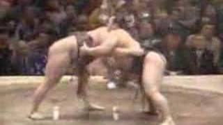 Sumo Wrestling with effects [upl. by Thekla]