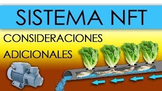 HIDROPONÃA  SISTEMA NFT EN LECHUGAS Nutrient Film Technique [upl. by Arjan]