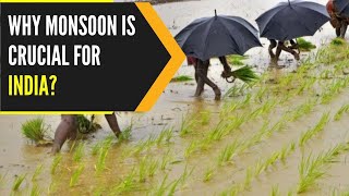 How important is the monsoon for the Indian economy  WION Originals [upl. by Nnaillek]