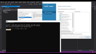 MySQL for Visual Studio 2019 Getting Started [upl. by Nyssa]