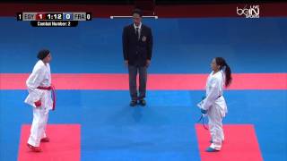 Finale Championnat du Monde karate 2014  Egipte Vs France 1 [upl. by Anaeirb]