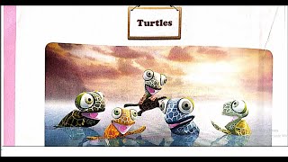 Astragen Class1st standard English TURTLES Chapter4 Rhyme  Poem [upl. by Gapin]