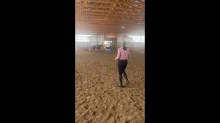 last lesson part 2dressage lesson raws [upl. by Ahsienom]