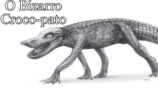 Anatosuchus O Estranho Crocopato [upl. by Nolahs]