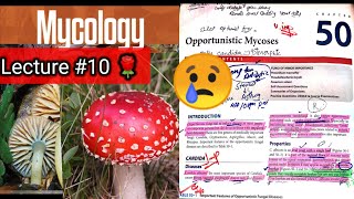 Opportunistic Mycoses 🛑 Chap 50 part 1k candida cryptococcus aspergillus mucor rhizopus [upl. by Yalhsa]