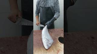 Porgy Fish Cutting Skills  Amazing Knife Skills  How To Fillet Porgy Fish [upl. by Mclyman]