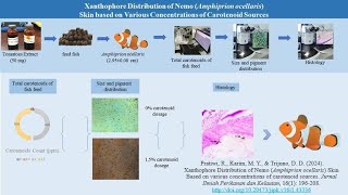 Boosting Nemos Brightness The Role of Carotenoids [upl. by Gavini419]