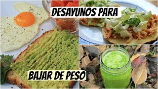 Desayunos para adelgazar Almuerzos fáciles y rápidos para perder peso [upl. by Nerraw]