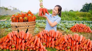 Harvesting Carrot Garden Goes To The Market Sell  Gardening and Animal Care  Hanna Daily Life [upl. by Grunberg163]