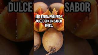 8 Frutas Mexicanas Sorprendentes y Nutritivas mexicolindo frutas frutasnutritivas [upl. by Merilyn397]