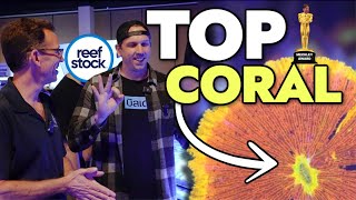 Top 3 COLORFUL Corals At Reefstock Denver 2024 [upl. by Leohcin]