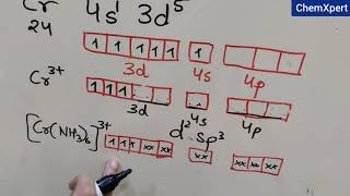 Valence Bond Theory of Coordination Compounds  Chapter 9  Class 12  Chemistry  NCERT  CBSE [upl. by Beall393]