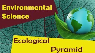 Ecological pyramid   Environmental Science [upl. by Wardlaw504]