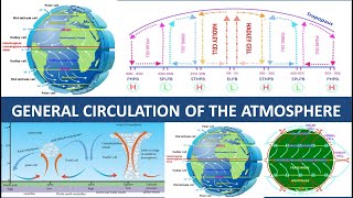 GENERAL ATMOSPHERIC CIRCULATION  THREE CELL MODEL  TRICELLULAR MERIDIONAL CIRCULATION [upl. by Bisset]