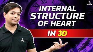 Human Heart Structure And Function  Detailed 3D Human Heart Diagram  NEET Hindi Medium [upl. by Nosnevets947]