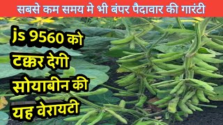 Nrc 150 soybean variety  Nrc 150 soyabean ki jankari  Nrc 150 soyabin [upl. by Roskes756]