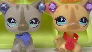 ★ LPS Double Trouble  Episode 2 Popularity ★ [upl. by Kenaz]