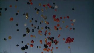 Mylar balloons cause power outage in Illinois [upl. by Ateloiv]