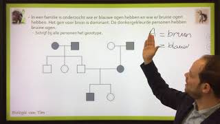 Biologie van Tim  Stambomen [upl. by Uriisa]