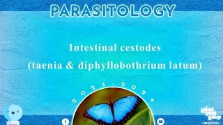 L3 Part 2 Taenia saginata solium and Diphyllobothrium latum Parasitology [upl. by Bael227]